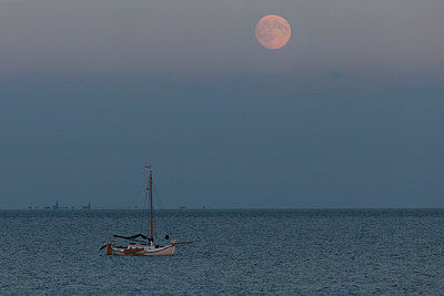 BUITEN BEELD Foto: 327507