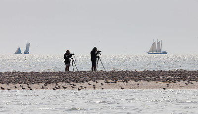 BUITEN BEELD Foto: 327535