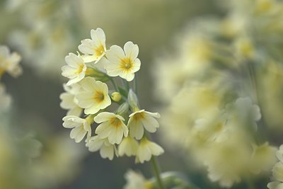 BUITEN BEELD Foto: 327574
