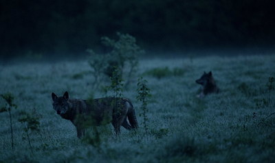 BUITEN BEELD Foto: 327624