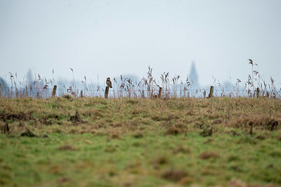 BUITEN BEELD Foto: 327719