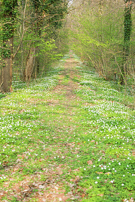 BUITEN BEELD Foto: 327783