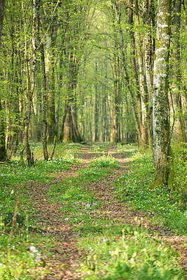BUITEN BEELD Foto: 327785