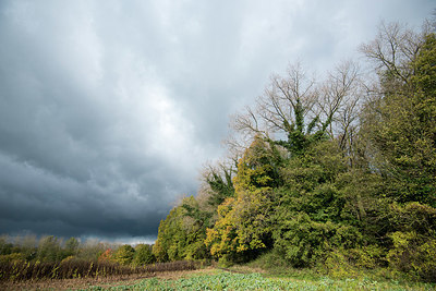 BUITEN BEELD Foto: 327790