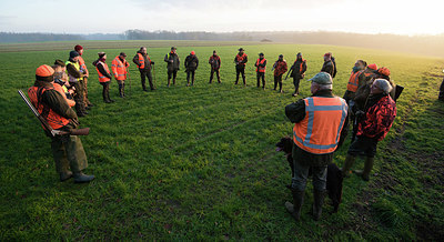 BUITEN BEELD Foto: 327807