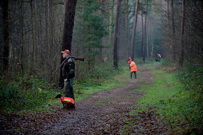 BUITEN BEELD Foto: 327826