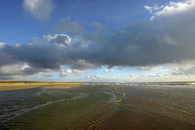 BUITEN BEELD Foto: 327853