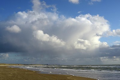 BUITEN BEELD Foto: 327855