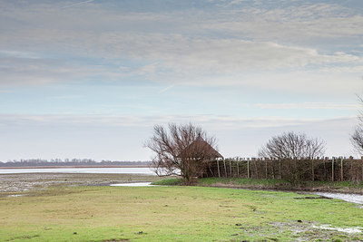 BUITEN BEELD Foto: 327867