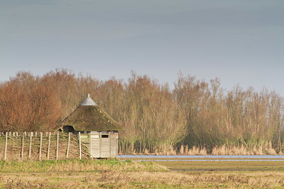 BUITEN BEELD Foto: 327869
