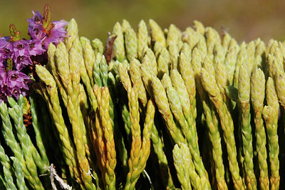 BUITEN BEELD Foto: 327883