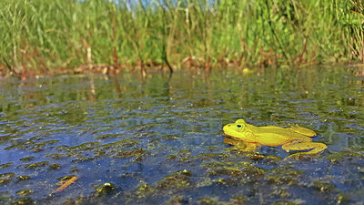 BUITEN BEELD Foto: 328174