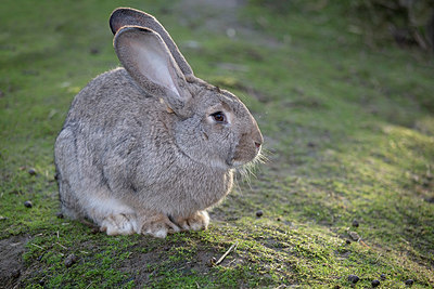 BUITEN BEELD Foto: 328235