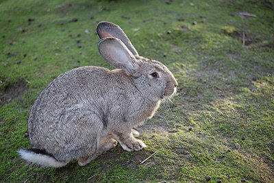 BUITEN BEELD Foto: 328237