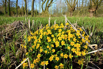 BUITEN BEELD Foto: 328427