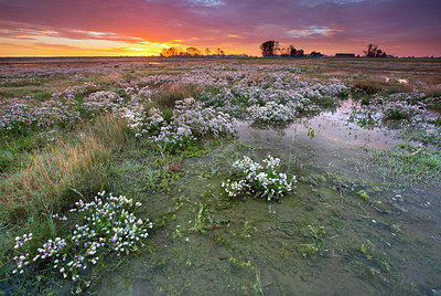 BUITEN BEELD Foto: 328516