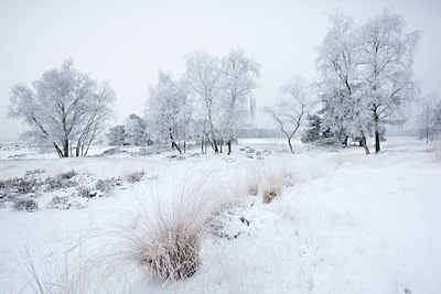 BUITEN BEELD Foto: 328521