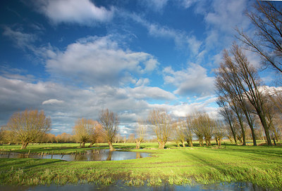 BUITEN BEELD Foto: 328523