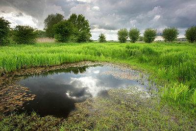 BUITEN BEELD Foto: 328524