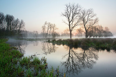 BUITEN BEELD Foto: 328526