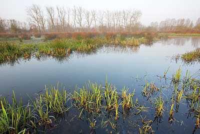 BUITEN BEELD Foto: 328527
