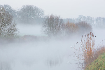 BUITEN BEELD Foto: 328529