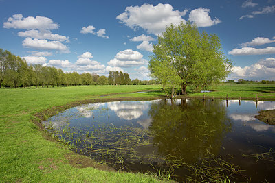 BUITEN BEELD Foto: 328531