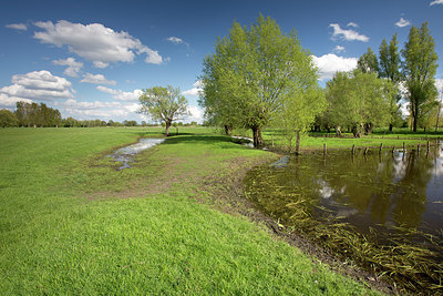BUITEN BEELD Foto: 328532