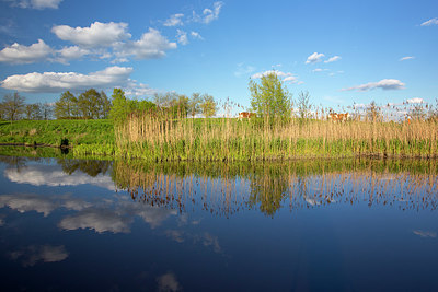 BUITEN BEELD Foto: 328534