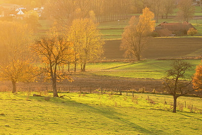 BUITEN BEELD Foto: 328536