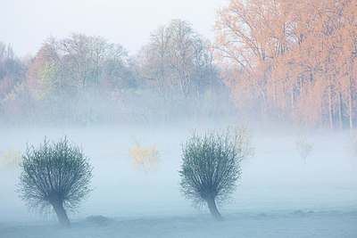 BUITEN BEELD Foto: 328541