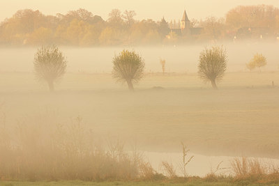 BUITEN BEELD Foto: 328542