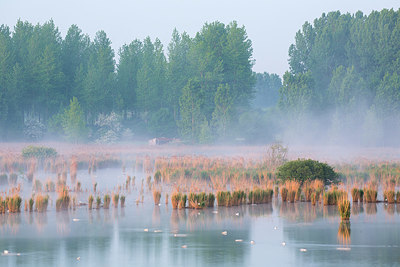 BUITEN BEELD Foto: 328544