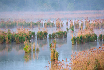 BUITEN BEELD Foto: 328545