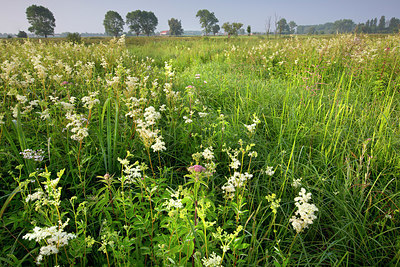 BUITEN BEELD Foto: 328553