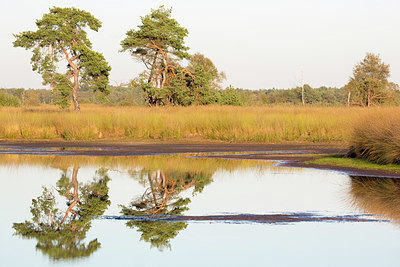 BUITEN BEELD Foto: 328557