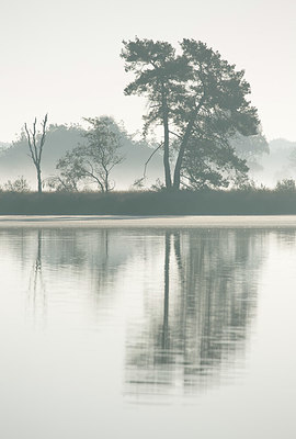 BUITEN BEELD Foto: 328558