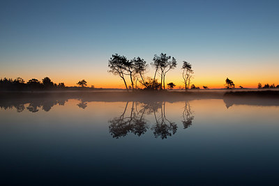 BUITEN BEELD Foto: 328561