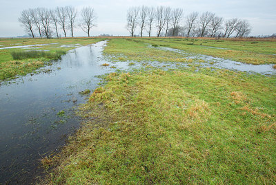 BUITEN BEELD Foto: 328565