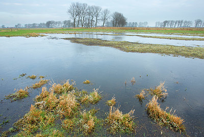 BUITEN BEELD Foto: 328567