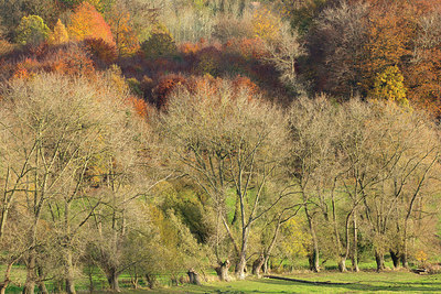 BUITEN BEELD Foto: 328572