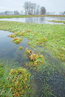 BUITEN BEELD Foto: 328585