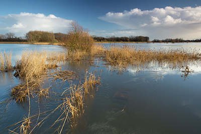 BUITEN BEELD Foto: 328598