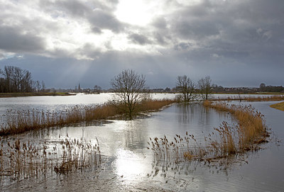 BUITEN BEELD Foto: 328599