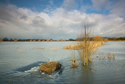BUITEN BEELD Foto: 328600
