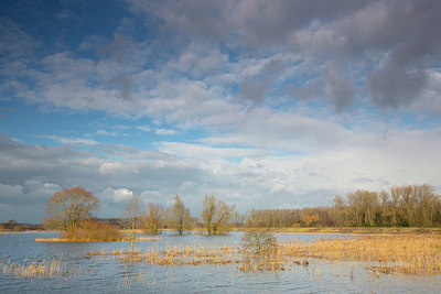 BUITEN BEELD Foto: 328601