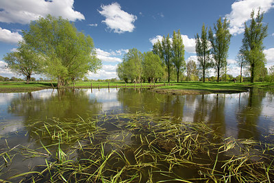 BUITEN BEELD Foto: 328617