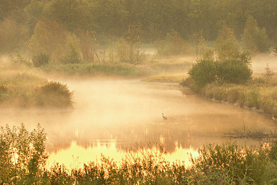 BUITEN BEELD Foto: 328620