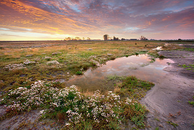 BUITEN BEELD Foto: 328651