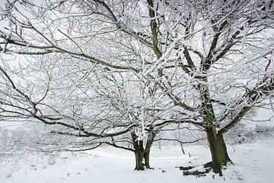 BUITEN BEELD Foto: 328654